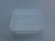 Transparent plastic box